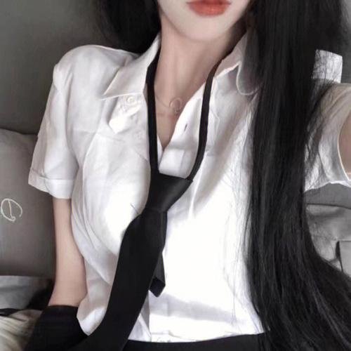 翼龙